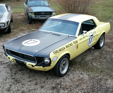 1967 Ford Mustang Shelby Terlingua Bandelier Mustang